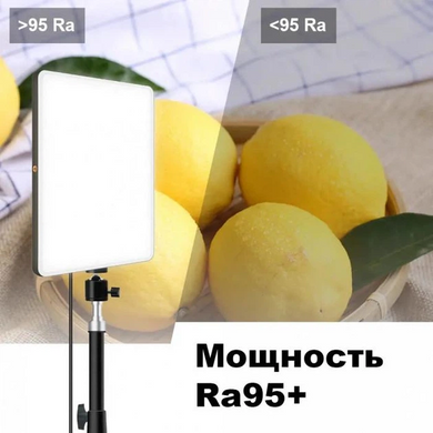 Свет блогера LED LAMP PL-26 • Кольцевая LED-лампа для фото, видео, макияжа, стримов и съемки контента