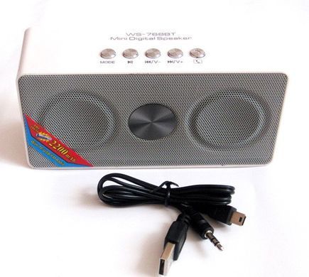Портативна музична колонка WSTER WS-768 Bluetooth USB ∙ microUSB ∙ 3.5 мм Mini-Jack ∙ FM радіо