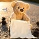 Детская интерактивная игрушка Говорящий Мишка Пикабу Peekaboo Bear Brown, 30 см