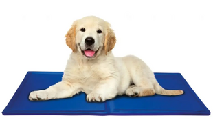 Охлаждающий коврик для собак Pet Cool Mat Самоохлаждающаяся подстилка для животных, 40х30 см