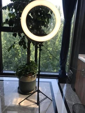 Кольцевая LED лампа с пультом, 36 см | Светодиодное селфи кольцо для съемок