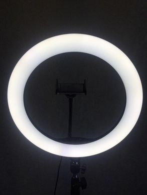 Кольцевая LED лампа с пультом, 36 см | Светодиодное селфи кольцо для съемок
