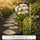 Садовый светильник 26X-105 &laquo;Цветы Белые&raquo; набор 2 шт &bull; LED светильники 26X-105 на солнечной батарее для сада, клумбы и дорожек, 2 шт