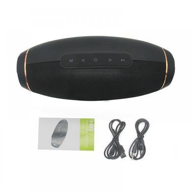 Отличная портативная Bluetooth колонка Hopestar H20 31 Вт (хаки, камуфляж) PR5