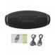 Отличная портативная Bluetooth колонка Hopestar H20 31 Вт (хаки, камуфляж) PR5