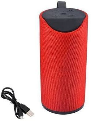 Акустическая система T&G TG113 с Bluetooth и защитой от брызг ∙ Портативная колонка TiG TG113