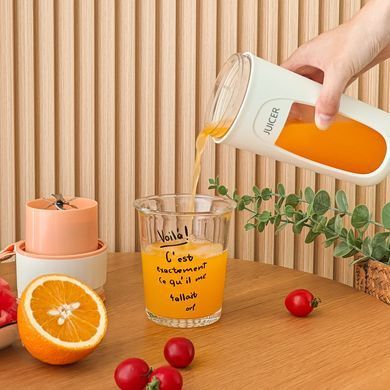 Портативный мини блендер &ndash; соковыжималка JUICER KS-FSV8 W14 с USB зарядкой, 340 мл