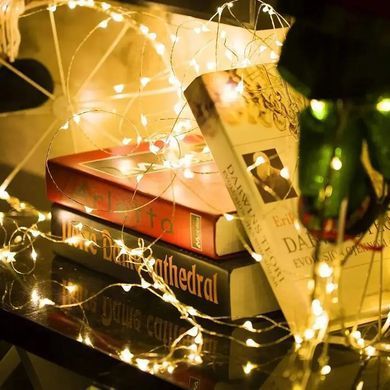 Універсальна гірлянда 5м Батарейка+USB тепле світло 300 LED ∙ Гірлянда Батарейка+USB лісочка 5м з 300 LED