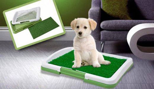 Туалет для собак и кошек Puppy Potty Pad