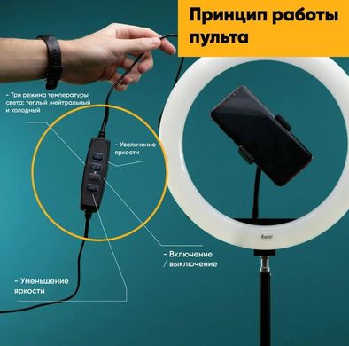 Кольцевая LED лампа S31 Светодиодная USB лампа с креплением держателем телефона, 33см