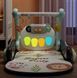 Ходунки с ковриком для малышей Baby Steps с музыкальным центром, бизабордом, пианино и Bluetooth подключением + пульт ДУ