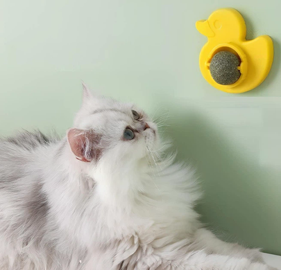 Кошачья мята AND LY-757 для котов &bull; Игрушка-шарик Pet Toy LY-757 с кошачьей мятой, вращающимся роликом и креплением на поверхность