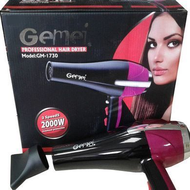 Фен gemei GM-1730 CG23 PR4