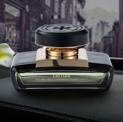 Автомобильный ароматизатор-духи CT-S88 55 мл &bull; Освежитель воздуха в машину с парфюмированным ароматом для салона авто