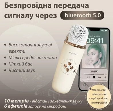 Акустична система «RETRO» з мікрофоном ∙ Бездротова портативна Bluetooth колонка на акумуляторі ∙ Міні-караоке