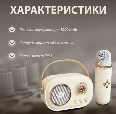 Акустична система «RETRO» з мікрофоном ∙ Бездротова портативна Bluetooth колонка на акумуляторі ∙ Міні-караоке