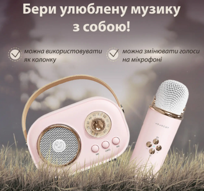 Акустична система «RETRO» з мікрофоном ∙ Бездротова портативна Bluetooth колонка на акумуляторі ∙ Міні-караоке