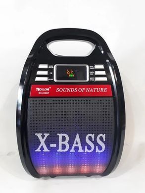 Колонка портативная акустическая система с микрофоном и FM радио BT Golon RX 810