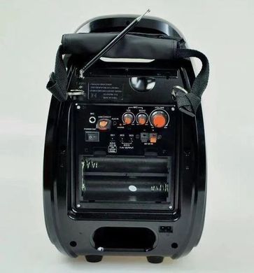 Колонка портативная акустическая система с микрофоном и FM радио BT Golon RX 810