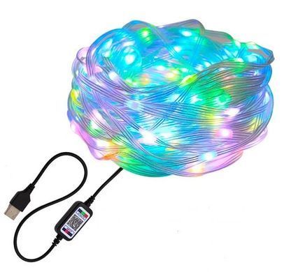Уличные огни 5M Smart Bluetooth App Control ∙ Светодиодная LED гирлянда 5M Smart с управлением через приложение
