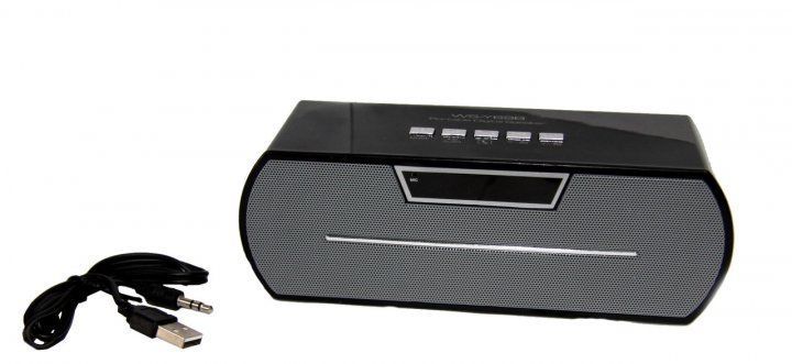 Портативна колонка WS-Y69 ∙ Bluetooth ∙ USB ∙ Card Reader ∙ FM радіо